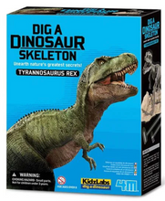 Load image into Gallery viewer, KidzLabs  Dig a Dinosaur Tyrannosaurus Rex Kit The Bubble Room Toy Store Dublin