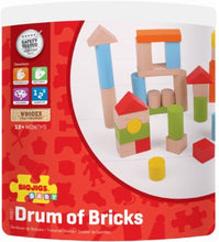 Load image into Gallery viewer, Bigjigs First Drum of Bricks 50 Pc The Bubble Room Toy Store Dublin