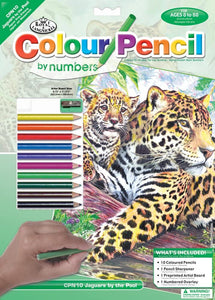 Royal & Langnickel Colour Pencil by Numbers Jaguar The Bubble Room Skerries Dublin
