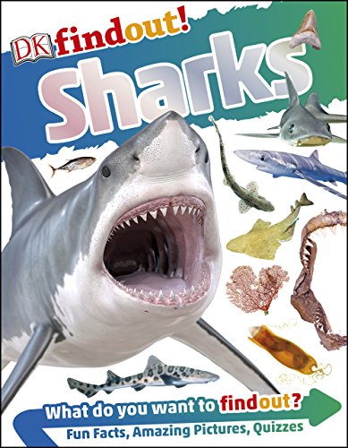 DK Find Out: Sharks