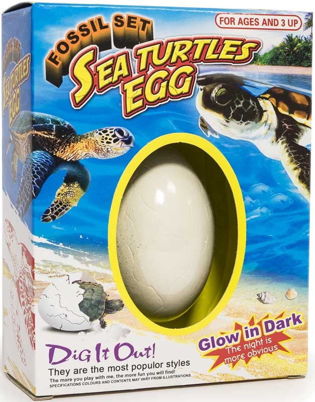 Sea Turtle Fossil Egg The Bubble Room Toy Store Skerries Dublin