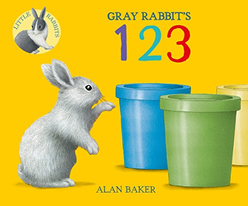 Grey Rabbit 123 The Bubble Room Book & Toy Store Dublin Ireland