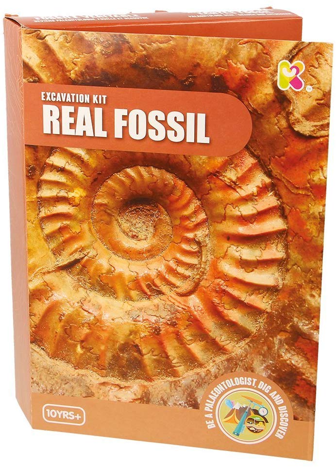 Keycraft  Real Fossil Excavation Discovery Kit The Bubble Room Toy Store Dublin