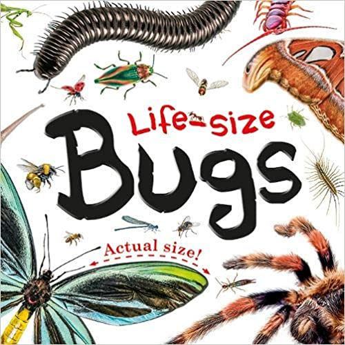 Life Size Bugs