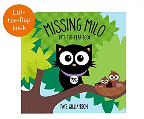 Missing Milo: Lift-the Flap Book