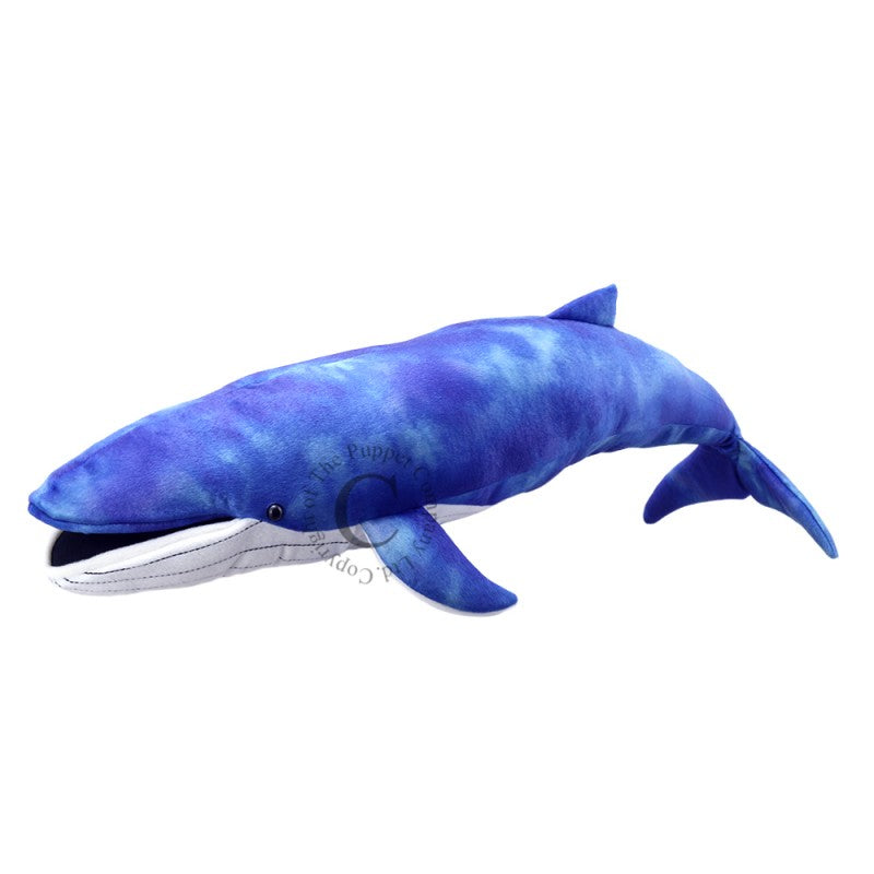 The Puppet Company Large Creatures Blue Whale The Bubble Room Toy Store Dublin