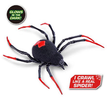Load image into Gallery viewer, Tobar Robo Alive Robotic Series 3 Spider The Bubble Room Toy Store Dublin