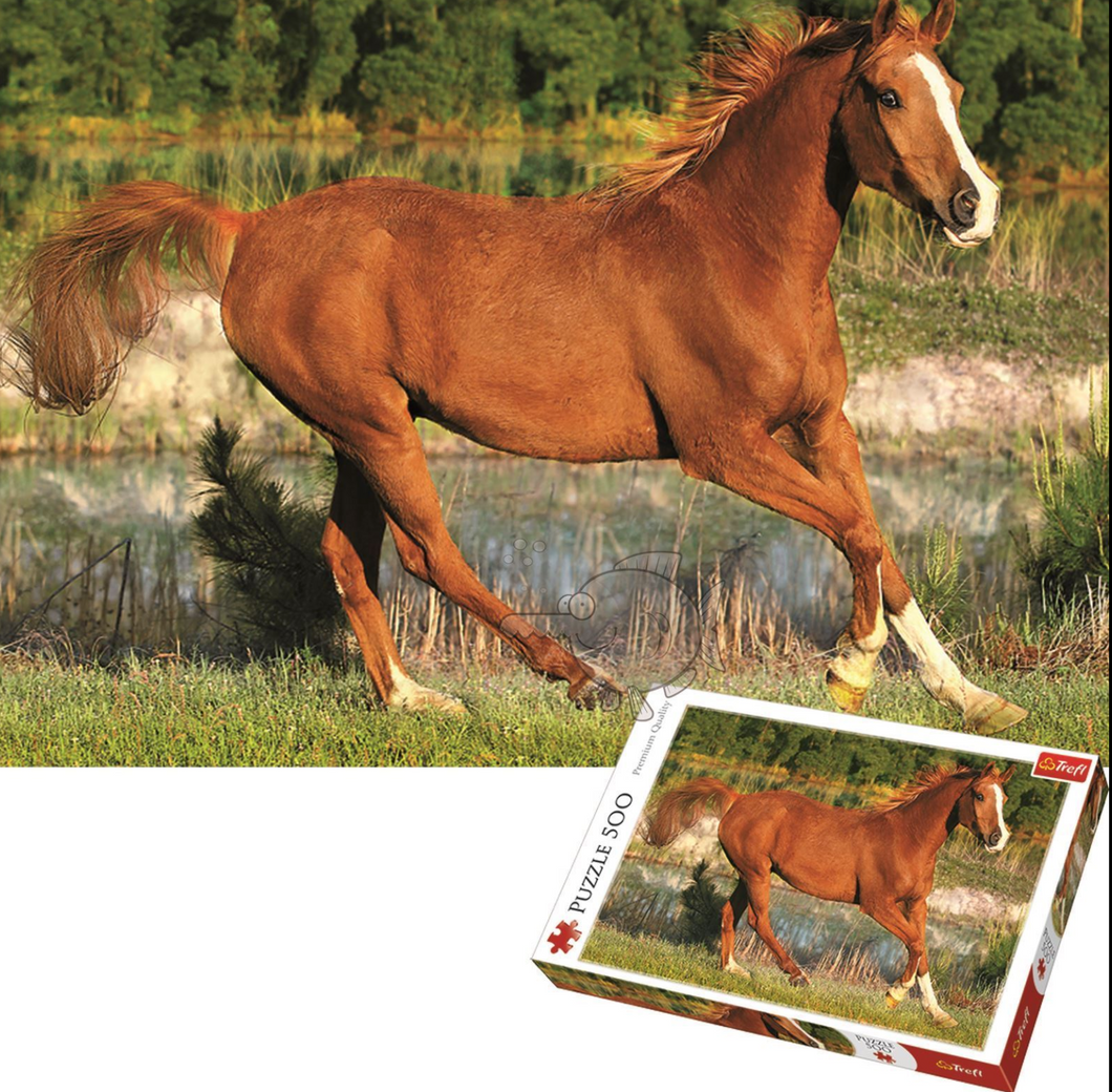 Trefl 500 piece puzzle galloping horses The Bubble Room  Toy Store Skerries
