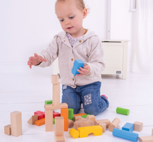 Load image into Gallery viewer, Bigjigs First Drum of Bricks 50 Pc The Bubble Room Toy Store Dublin