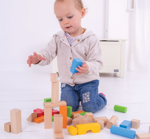 Bigjigs First Drum of Bricks 50 Pc The Bubble Room Toy Store Dublin