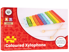 Load image into Gallery viewer, Bigjigs Snazzy Xylophone The Bubble Room Toy Store Dublin