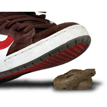 Load image into Gallery viewer, Tobar Classic Jokes Range Fake Dog Poo