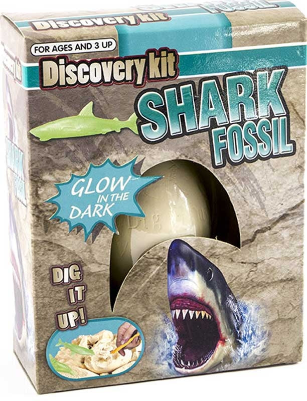 Shark Fossil Kit