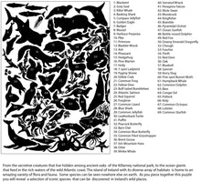 Load image into Gallery viewer, Wild Ireland 1000 Piece Puzzle The Bubble Room Toy Store Dublin