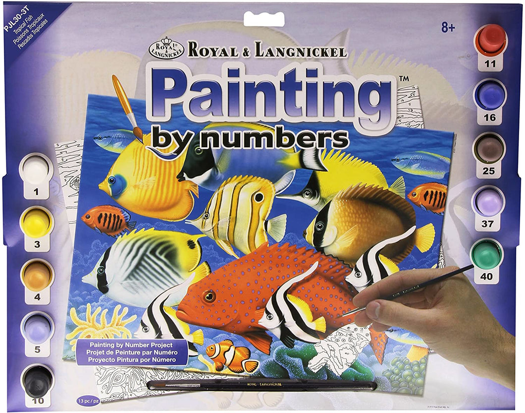 Royal & Langnickel Junior Tropical Fish Painting by Numbers Kit The Bubble Room Skerries Dublin